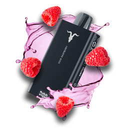 Pod descartável Ignite V150 - Sour Raspberry
