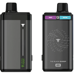 BLACK SHEEP 40K STRAWBERRY KIWI + FRESH MINT