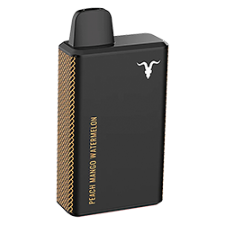 Pod Desechable Ignite V40 - Peach Mango Watermelon